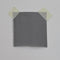 Organza Black