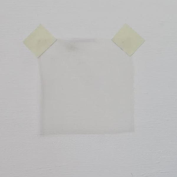 Bone Silk Organza — lightweight, sheer and smooth with a low-sheen finish, 100% silk, 137cm wide