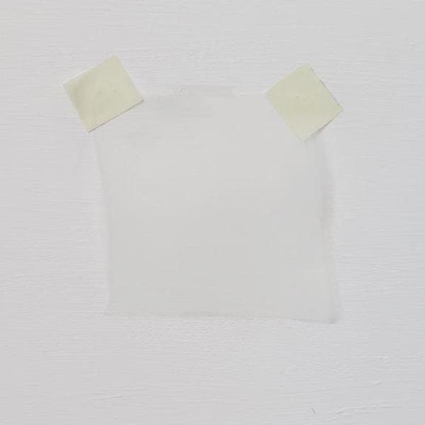 Organza - Ivory