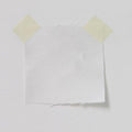 Polyester Zibeline Ivory
