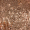 Sequined Georgette (K06181) Rose Gold