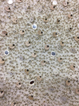 Beaded Mirror Design 1/Gold