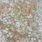 Floral Embellished Tulle (K25736) Peony