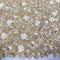 Floral Embellished Tulle (K25736) Sand