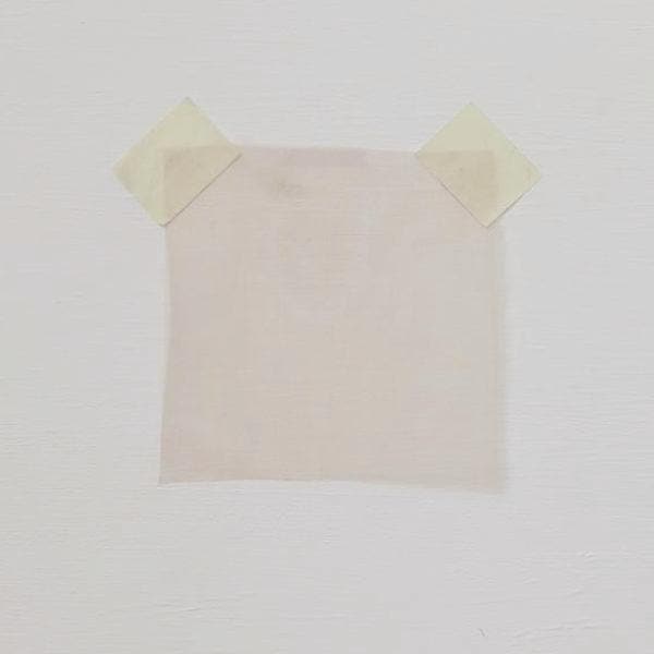 Nude Silk Organza — lightweight, sheer and smooth with a low-sheen finish, 100% silk, 137cm wide