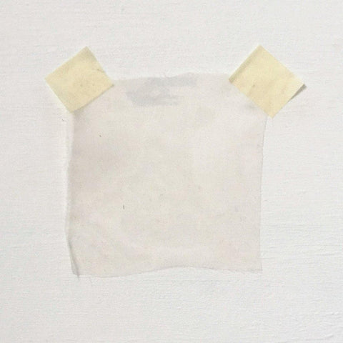 Satin Chiffon Sea Shell