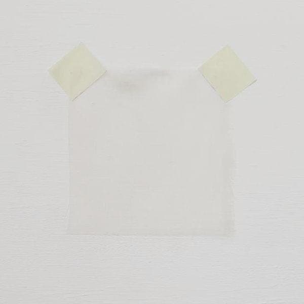 Sea Shell Silk Organza — lightweight, sheer and smooth with a low-sheen finish, 100% silk, 137cm wide