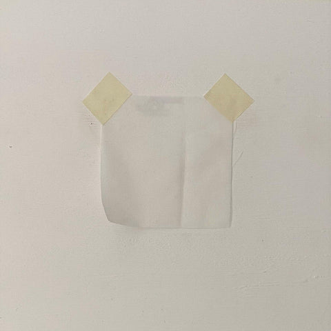 Silk Cotton Voile Ivory