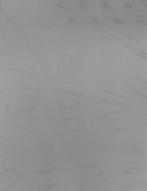 Sparkle Tulle Ivory/Silver (VJ0001)