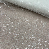 Sequinned Mesh VJ21135 Ivory