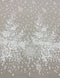 Embroidered Tulle (W52628) Ivory